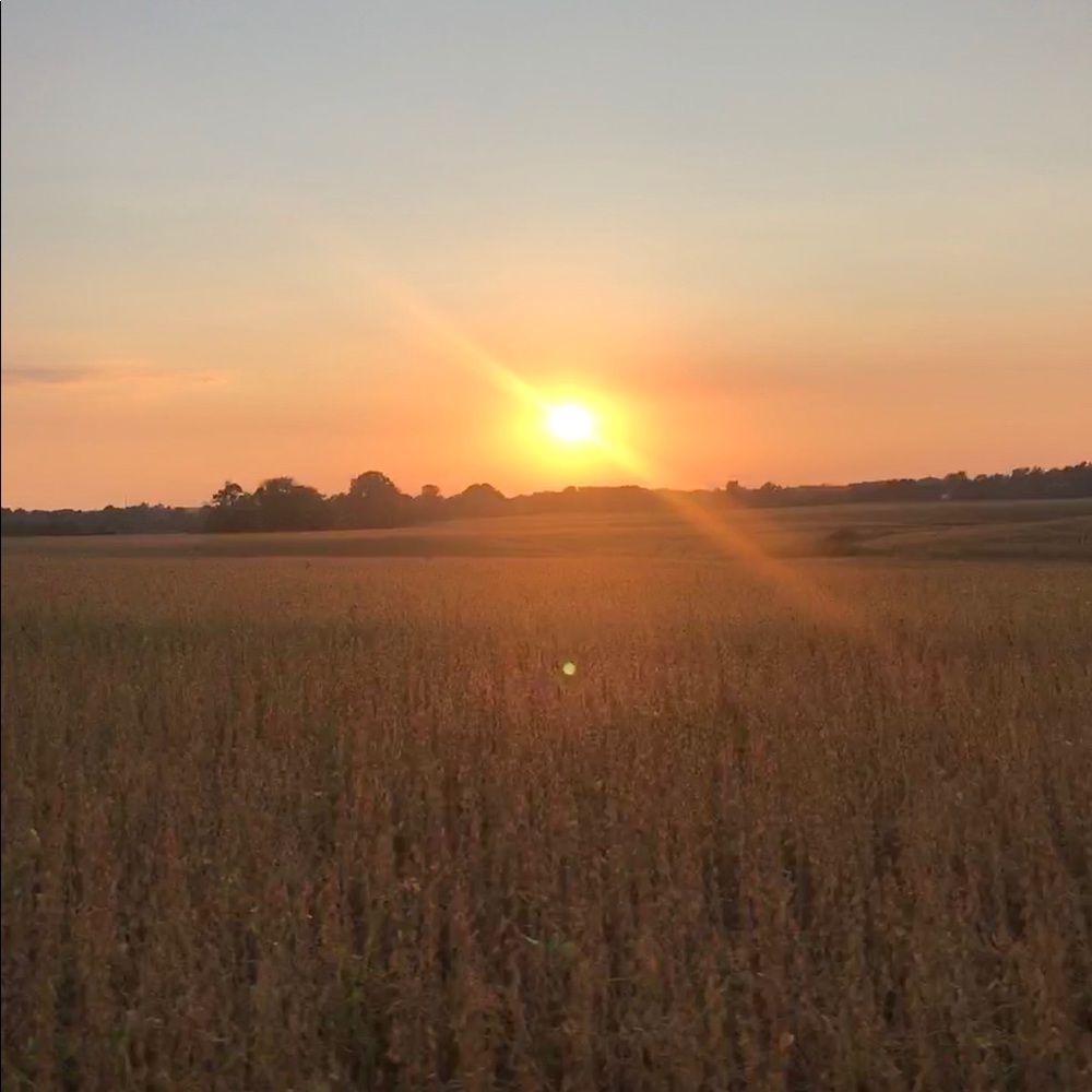 Meet your Posher, Shalen